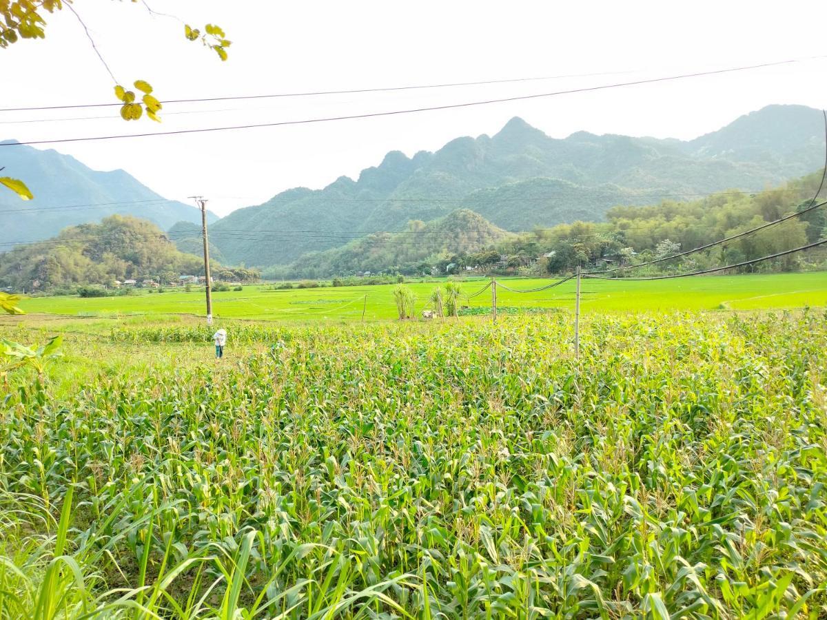 Truong Huy Homestay Mai Chau Exterior foto